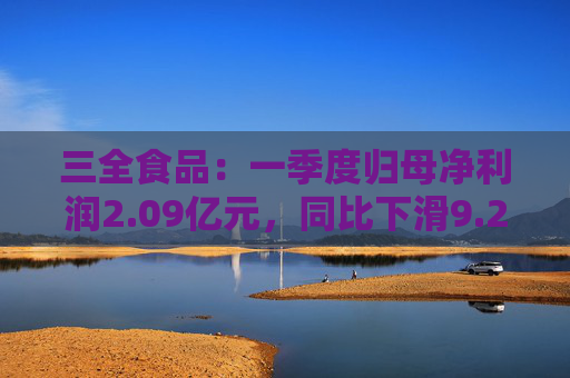 三全食品：一季度歸母凈利潤(rùn)2.09億元，同比下滑9.22%  第1張