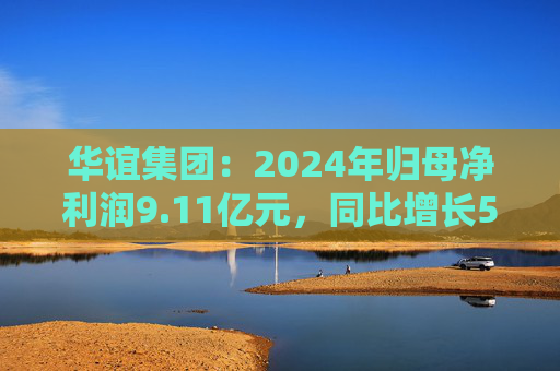 華誼集團(tuán)：2024年歸母凈利潤9.11億元，同比增長5.76%