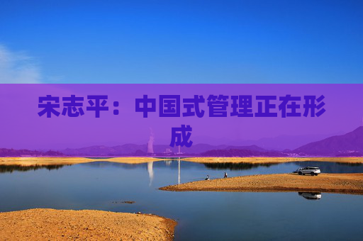宋志平：中國式管理正在形成