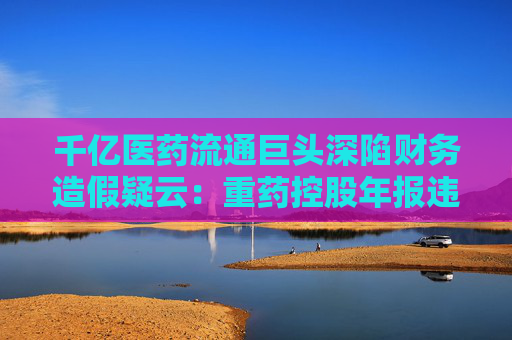千億醫(yī)藥流通巨頭深陷財務造假疑云：重藥控股年報違規(guī)拷問行業(yè)整合隱憂