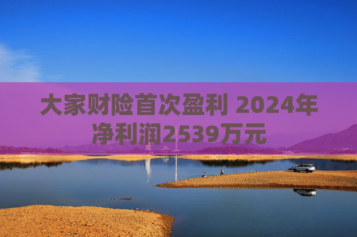 大家財險首次盈利 2024年凈利潤2539萬元