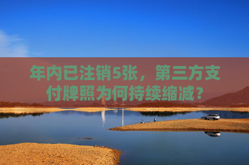 年內(nèi)已注銷5張，第三方支付牌照為何持續(xù)縮減？