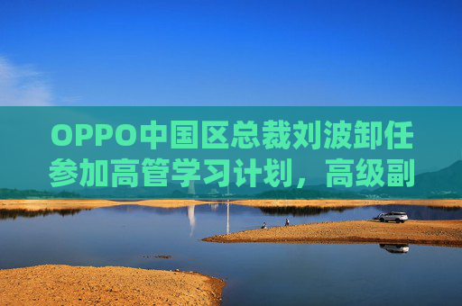OPPO中國區(qū)總裁劉波卸任參加高管學(xué)習(xí)計劃，高級副總裁段要輝直接負責(zé)中國市場  第1張