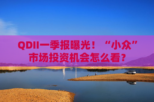 QDII一季報曝光！“小眾”市場投資機(jī)會怎么看？