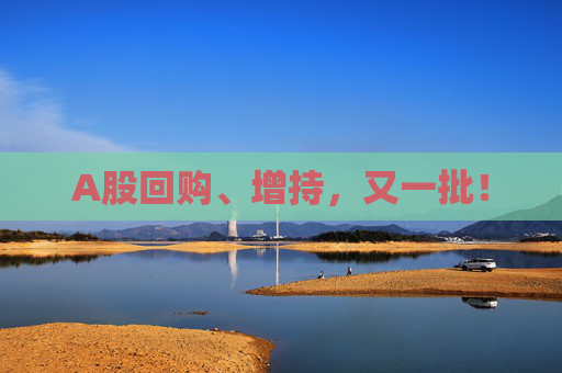 A股回購、增持，又一批！