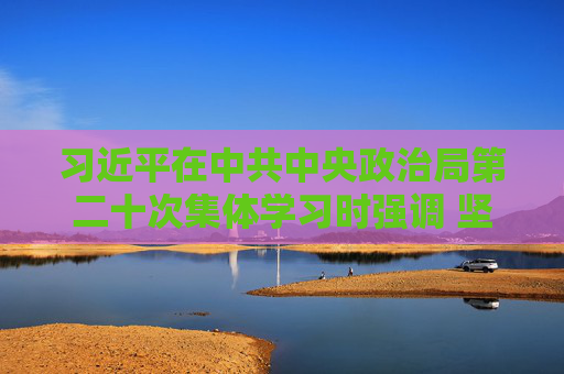 習(xí)近平在中共中央政治局第二十次集體學(xué)習(xí)時強調(diào) 堅持自立自強 突出應(yīng)用導(dǎo)向 推動人工智能健康有序發(fā)展