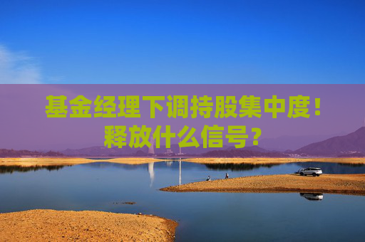 基金經(jīng)理下調(diào)持股集中度！釋放什么信號？  第1張