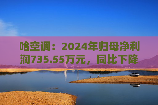 哈空調(diào)：2024年歸母凈利潤735.55萬元，同比下降65.53%