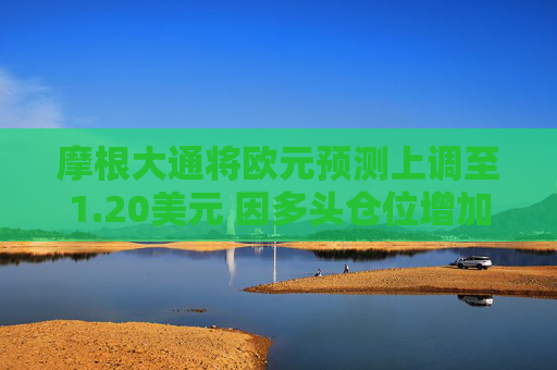 摩根大通將歐元預(yù)測(cè)上調(diào)至1.20美元 因多頭倉(cāng)位增加