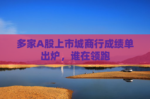 多家A股上市城商行成績單出爐，誰在領(lǐng)跑