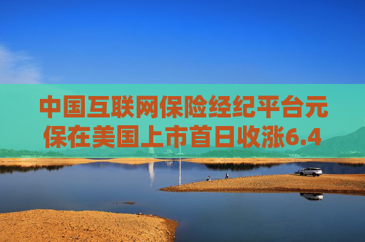 中國互聯(lián)網(wǎng)保險(xiǎn)經(jīng)紀(jì)平臺元保在美國上市首日收漲6.4%