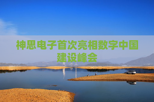 神思電子首次亮相數(shù)字中國建設(shè)峰會(huì)