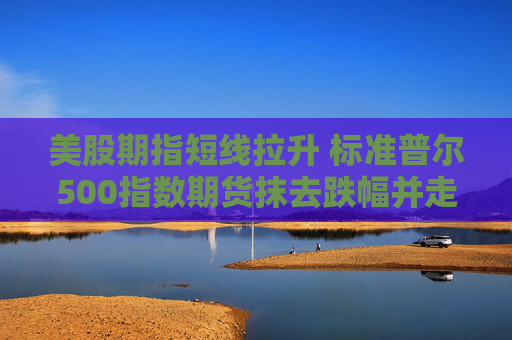 美股期指短線拉升 標(biāo)準(zhǔn)普爾500指數(shù)期貨抹去跌幅并走高