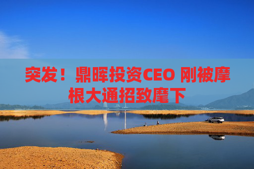 突發(fā)！鼎暉投資CEO 剛被摩根大通招致麾下