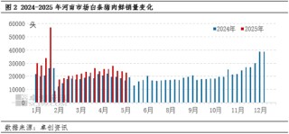 白條豬肉：供應(yīng)壓力依舊 短期河南豬肉價格或偏弱調(diào)整