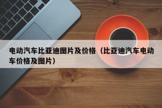電動(dòng)汽車比亞迪圖片及價(jià)格（比亞迪汽車電動(dòng)車價(jià)格及圖片）