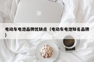 電動(dòng)車(chē)電池品牌優(yōu)缺點(diǎn)（電動(dòng)車(chē)電池知名品牌）