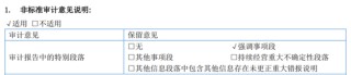 又一A股審計“自爆”！23年IPO上市，次年就財務(wù)造假？