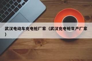 武漢電動(dòng)車充電樁廠家（武漢充電樁生產(chǎn)廠家）