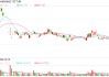 *ST九有退市 財(cái)務(wù)造假曝光！5月以來已有8家公司收到交易所終止上市決定