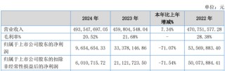 又一A股審計“自爆”！23年IPO上市，次年就財務(wù)造假？