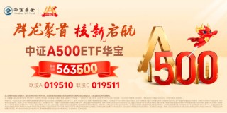 A500局部高溫，四川長(zhǎng)虹勁漲7%！全市場(chǎng)唯一尾號(hào)500的中證A500ETF華寶（563500）換手率超13%強(qiáng)勢(shì)領(lǐng)跑