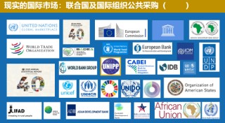 中國聯(lián)合國采購促進(jìn)會(huì)宋嘉：企業(yè)出海是一種戰(zhàn)略選擇