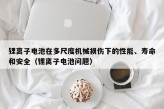 鋰離子電池在多尺度機(jī)械損傷下的性能、壽命和安全（鋰離子電池問題）