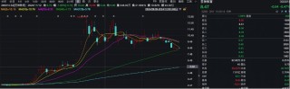 屢屢信披違規(guī)，這家公司被立案