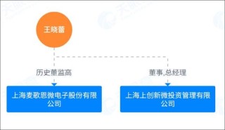 不缺錢的納芯微港股再上市背后：高溢價接盤“金主”資產(chǎn)？浮現(xiàn)新微資本魅影 標(biāo)的盈利飆升