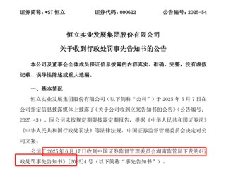 首例！90后獨(dú)董被罰140萬 才干了2個多月 董秘機(jī)智保護(hù)了自己