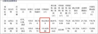 京基智農(nóng)低估值之謎？巨額地產(chǎn)項(xiàng)目是否被大股東分食 大股東有無掏空之嫌