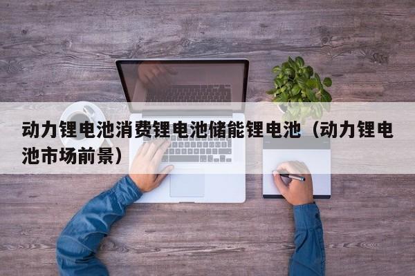 動(dòng)力鋰電池消費(fèi)鋰電池儲(chǔ)能鋰電池（動(dòng)力鋰電池市場(chǎng)前景）  第1張