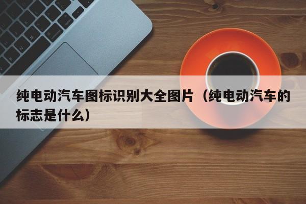 純電動(dòng)汽車圖標(biāo)識(shí)別大全圖片（純電動(dòng)汽車的標(biāo)志是什么）  第1張