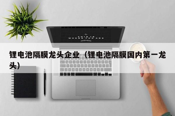 鋰電池隔膜龍頭企業(yè)（鋰電池隔膜國內(nèi)第一龍頭）  第1張