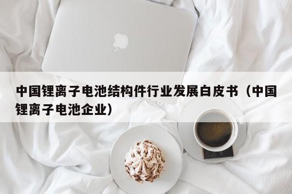 中國鋰離子電池結(jié)構(gòu)件行業(yè)發(fā)展白皮書（中國鋰離子電池企業(yè)）  第1張
