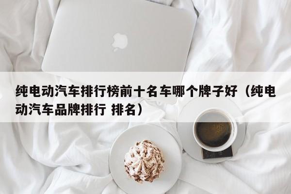 純電動(dòng)汽車排行榜前十名車哪個(gè)牌子好（純電動(dòng)汽車品牌排行 排名）  第1張