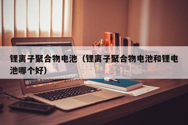 鋰離子聚合物電池（鋰離子聚合物電池和鋰電池哪個好）  第1張