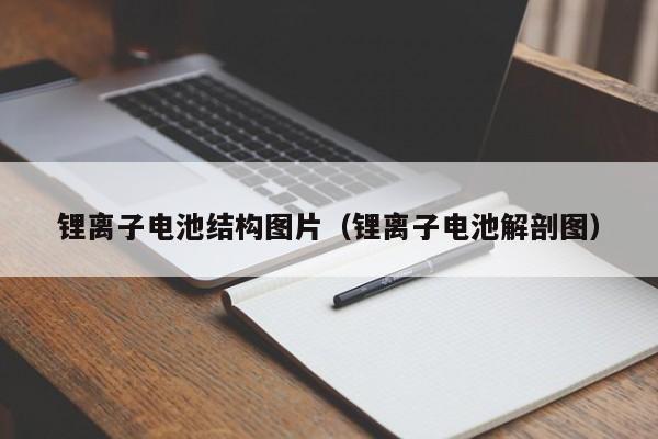 鋰離子電池結(jié)構(gòu)圖片（鋰離子電池解剖圖）  第1張
