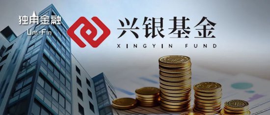 從“千億神話”到縮水190億，金融“女將”辭任興銀基金董事長  第1張