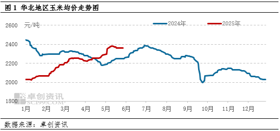 “玉”見未來：麥收影響，6月中上旬華北玉米價格或存上漲空間  第3張