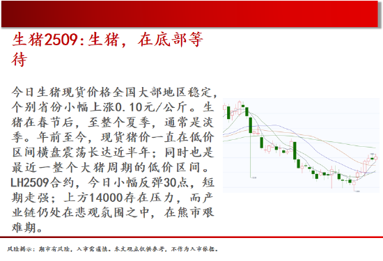 中天期貨:棕櫚大漲的高位調(diào)整 尿素繼續(xù)大漲  第4張